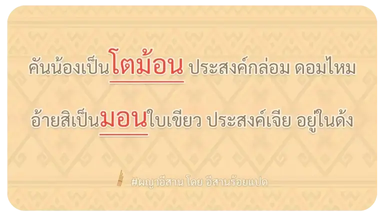 ผญา-คันน้องเป็นโตม้อน ประสงค์กล่อม ดอมไหม
