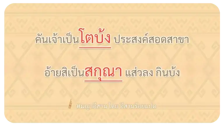 ผญา-คันเจ้าเป็นโตบ้ง ประสงค์สอดสาขา