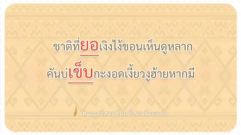 ผญา-ชาติที่ยอเงิงไง้ขอนเห็นดูหลาก
