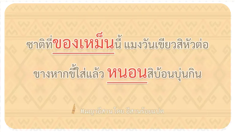 ผญา-ซาติที่ของเหม็นนี้ แมงวันเขียวสิหัวต่อ