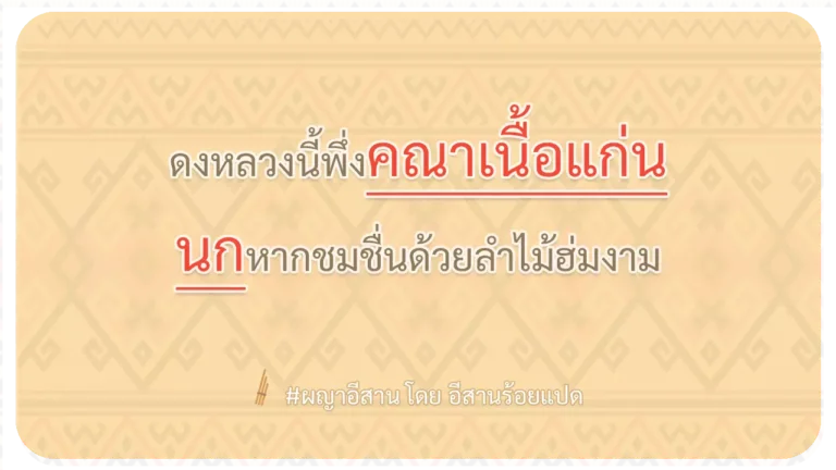ผญา-ดงหลวงนี้พึ่งคณาเนื้อแก่น