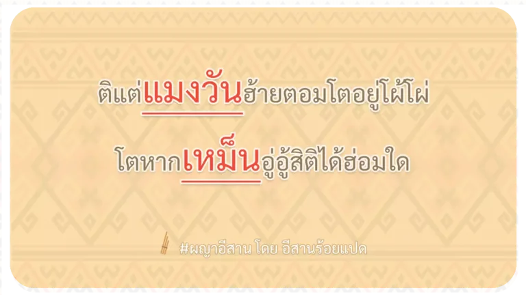ผญา-ติแต่แมงวันฮ้ายตอมโตอยู่โผ้โผ่