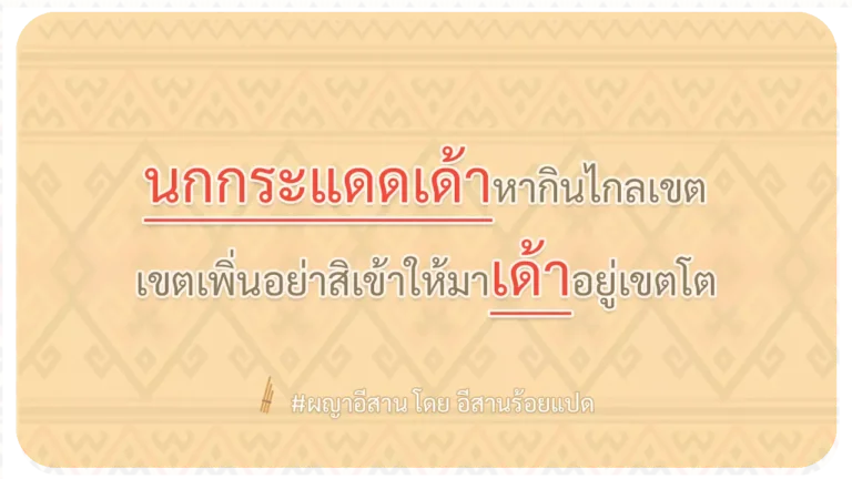 ผญา-นกกระแดดเด้าหากินไกลเขต