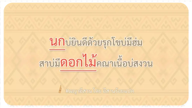 ผญา-นกบ่ยินดีด้วยรุกโขบ่มีฮ่ม