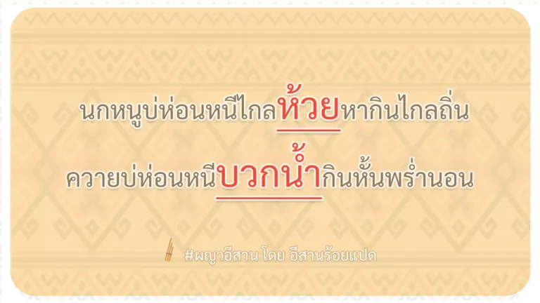 ผญา-นกหนูบ่ห่อนหนีไกลห้วยหากินไกลถิ่น