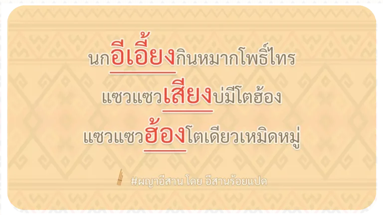 ผญา-นกอีเอี้ยงกินหมากโพธิ์ไทร