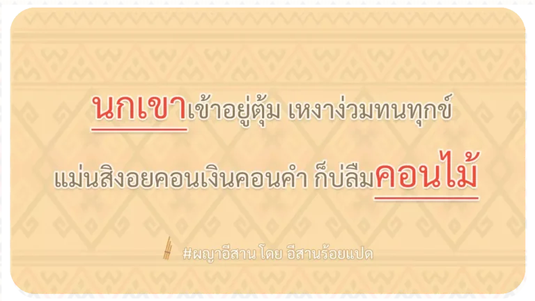 ผญา-นกเขาเข้าอยู่ตุ้ม เหงาง่วมทนทุกข์
