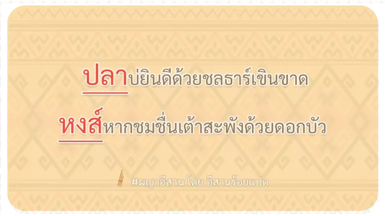ผญา-ปลาบ่ยินดีด้วยชลธาร์เขินขาด