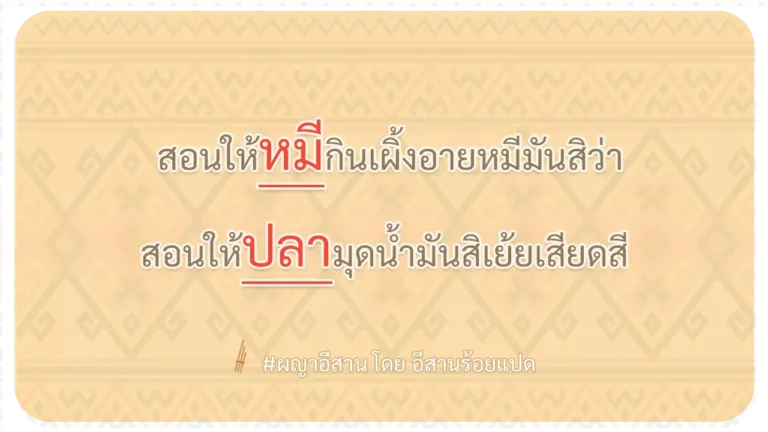 ผญา-สอนให้หมีกินเผิ้งอายหมีมันสิว่า