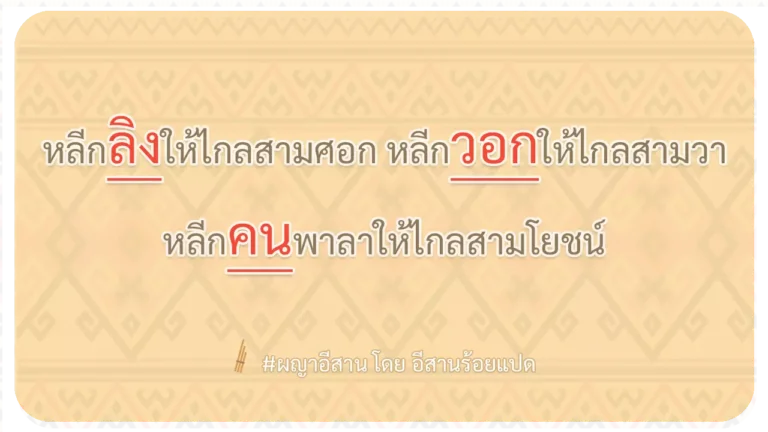 ผญา-หลีกลิงให้ไกลสามศอก หลีกวอกให้ไกลสามวา