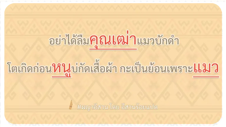ผญา-อย่าได้ลืมคุณเฒ่าแมวบักดำ