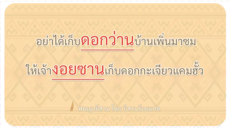 ผญา-อย่าได้เก็บดอกว่านบ้านเพิ่นมาซม