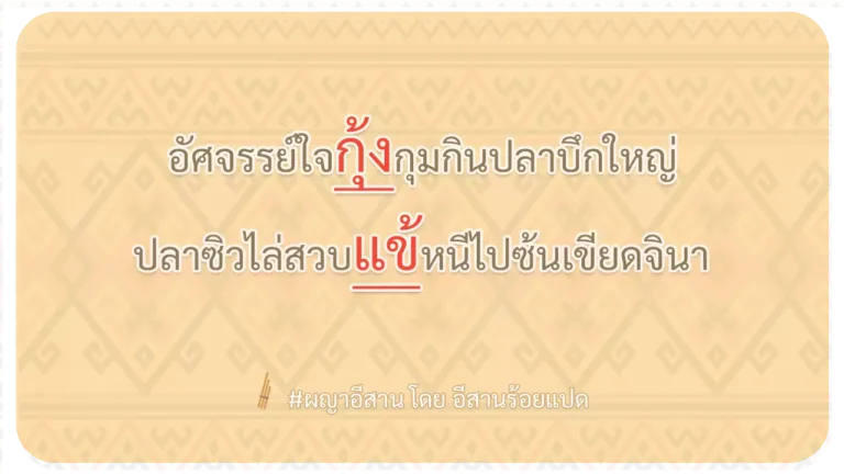 ผญา-อัศจรรย์ใจกุ้งกุมกินปลาบึกใหญ่