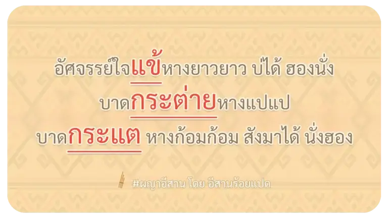 ผญา-อัศจรรย์ใจแข้หางยาวยาว บ่ได้ ฮองนั่ง