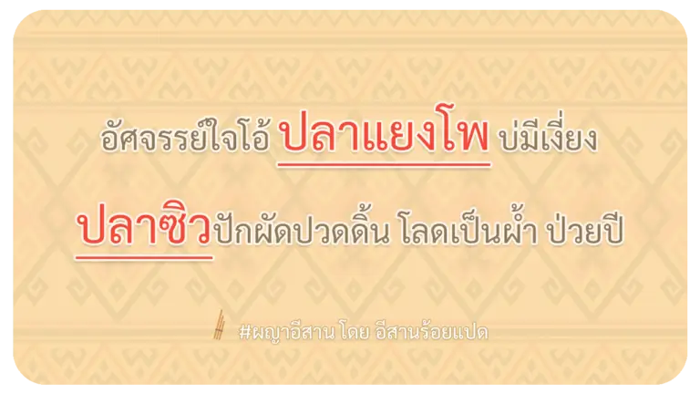 ผญา-อัศจรรย์ใจโอ้-ปลาแยงโพ-บ่มีเงี่ยง