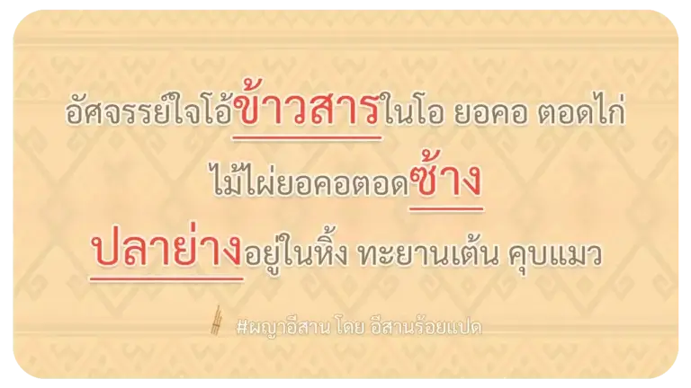 ผญา-อัศจรรย์ใจโอ้ข้าวสารในโอ ยอคอ ตอดไก่