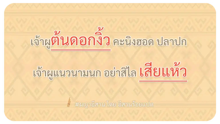 ผญา-เจ้าผูต้นดอกงิ้ว-คะนิงฮอด-ปลาปก