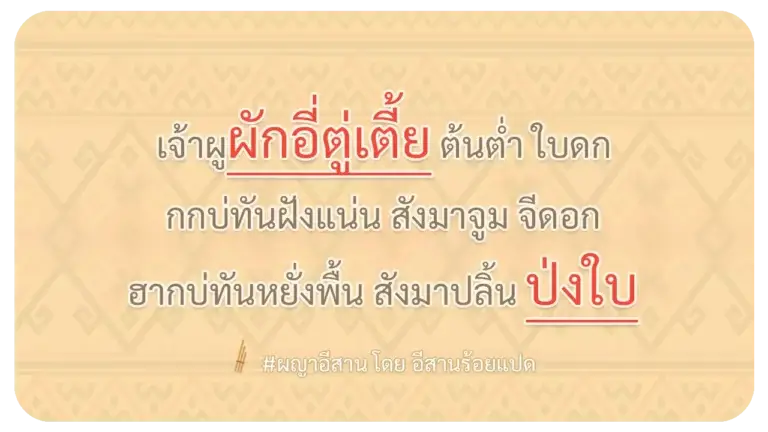 ผญา-เจ้าผูผักอี่ตู่เตี้ย ต้นต่ำ ใบดก