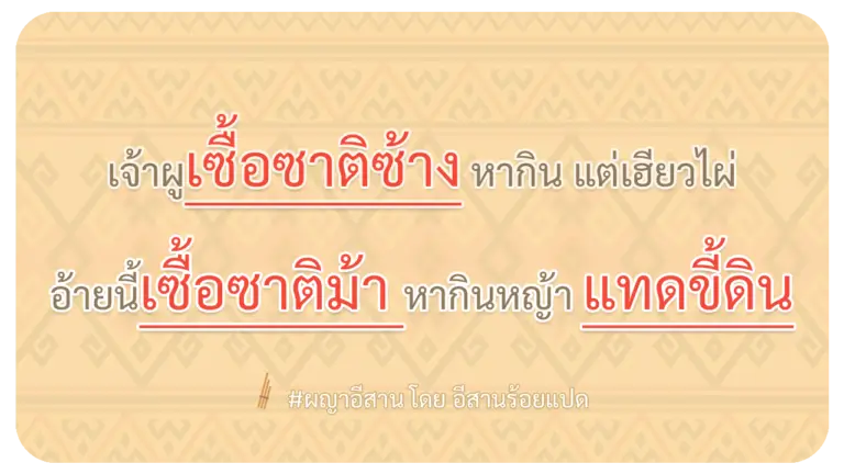 ผญา-เจ้าผูเซื้อซาติซ้าง-หากิน-แต่เฮียวไผ่