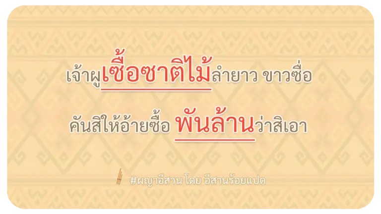ผญา-เจ้าผูเซื้อซาติไม้ลำยาว-ขาวซื่อ