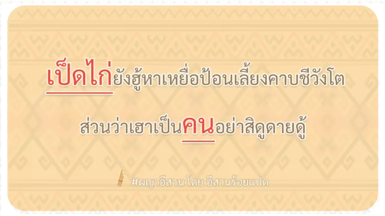 ผญา-เป็ดไก่ยังฮู้หาเหยื่อป้อนเลี้ยงคาบชีวังโต
