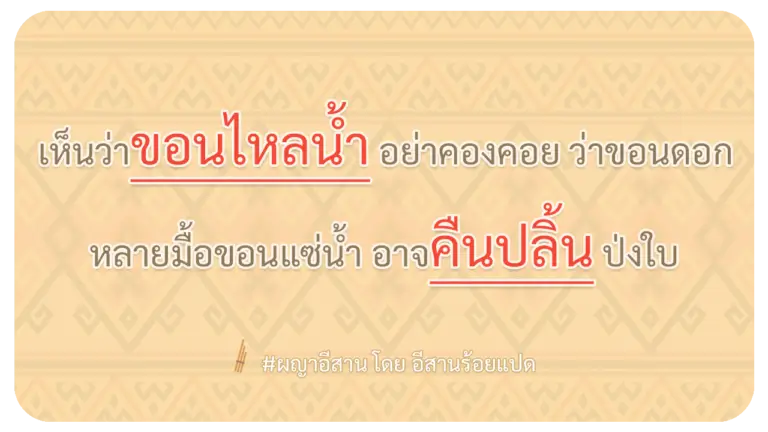 ผญา-เห็นว่าขอนไหลน้ำ-อย่าคองคอย-ว่าขอนดอก