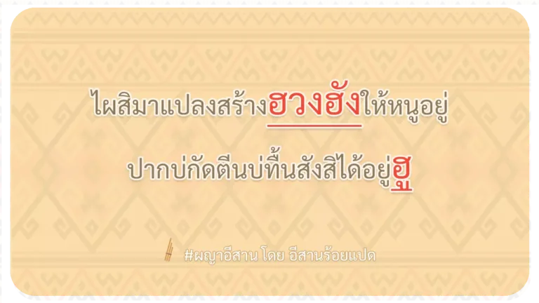 ผญา-ไผสิมาแปลงสร้างฮวงฮังให้หนูอยู่