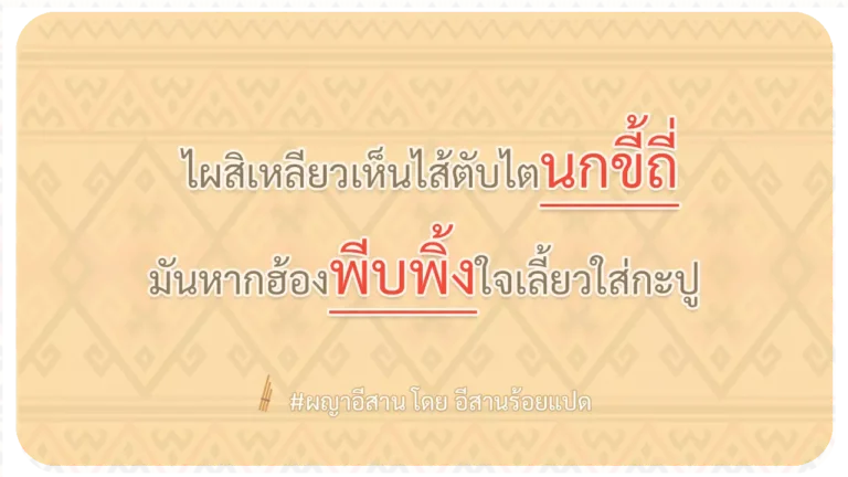 ผญา-ไผสิเหลียวเห็นไส้ตับไตนกขี้ถี่