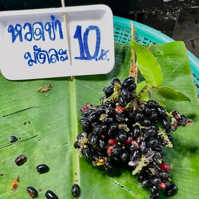 บักหวดข่า