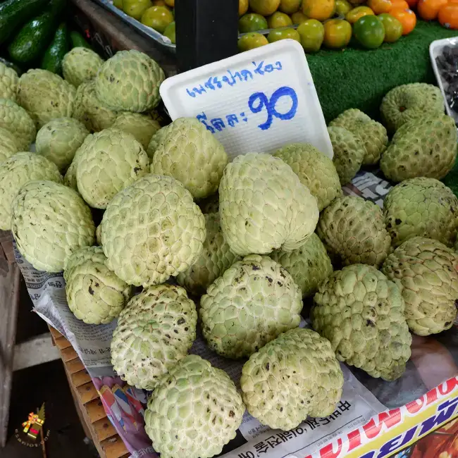 บักเขียบ