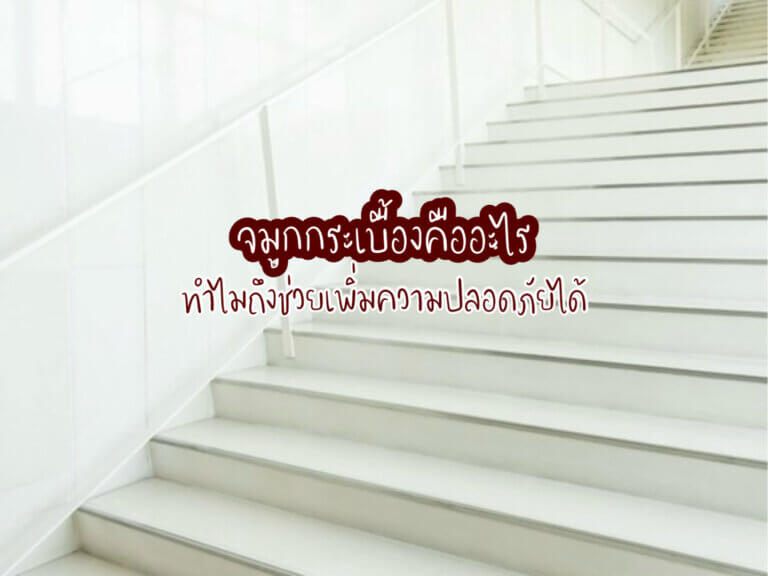 จมูกกระเบื้อง